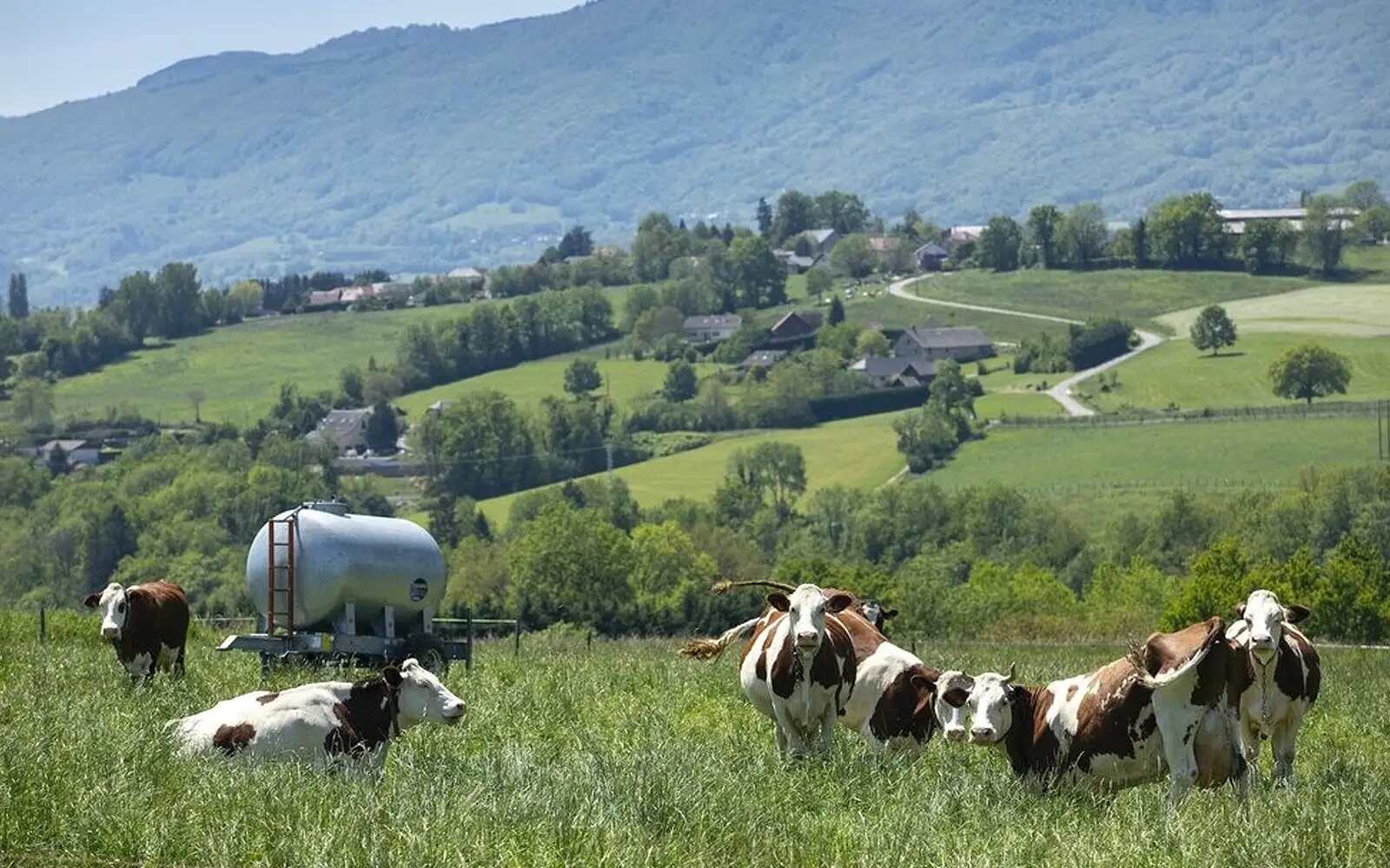 nz calls for negotiations with canada on dairy trade issues