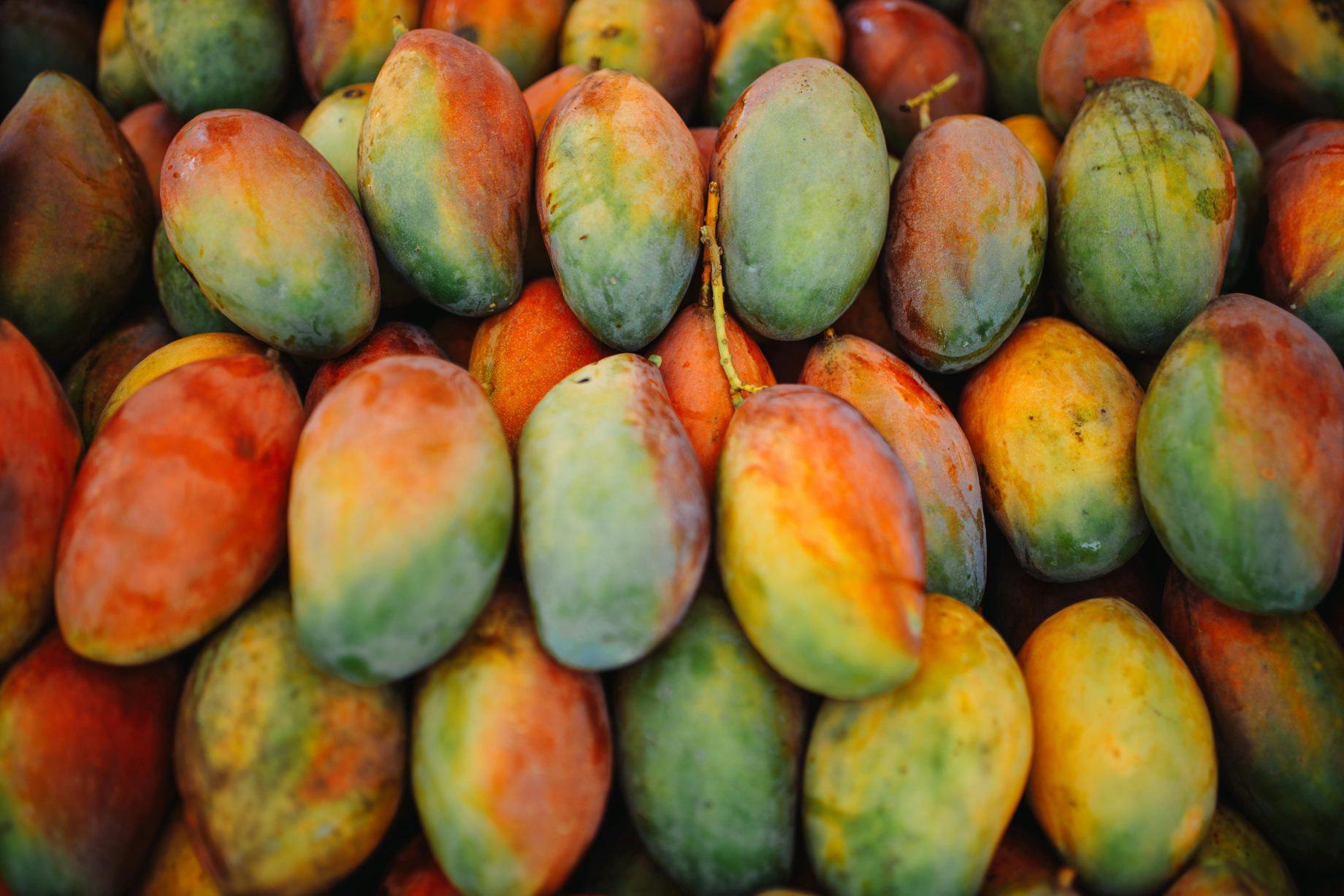 mangoes