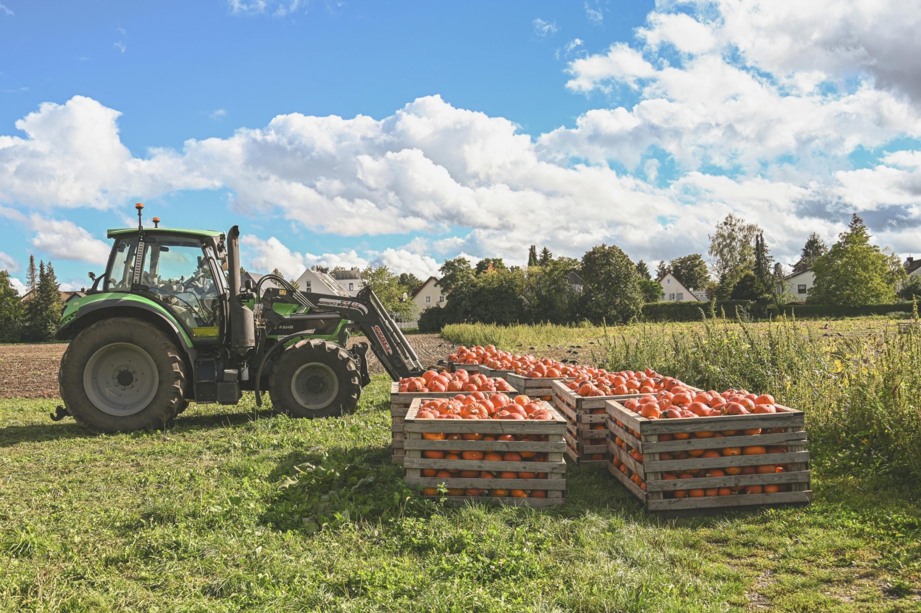 agribusiness (1)