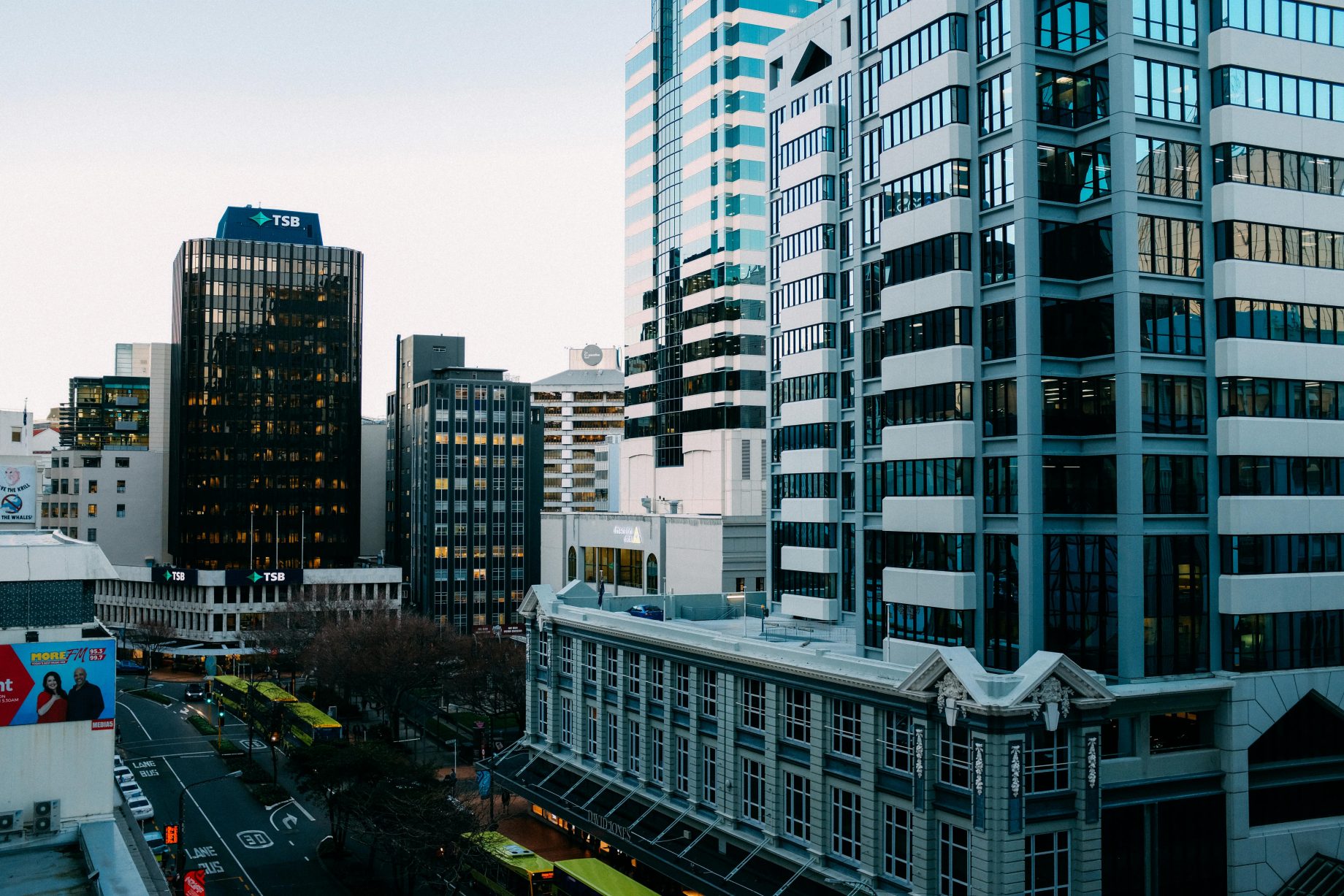nz business