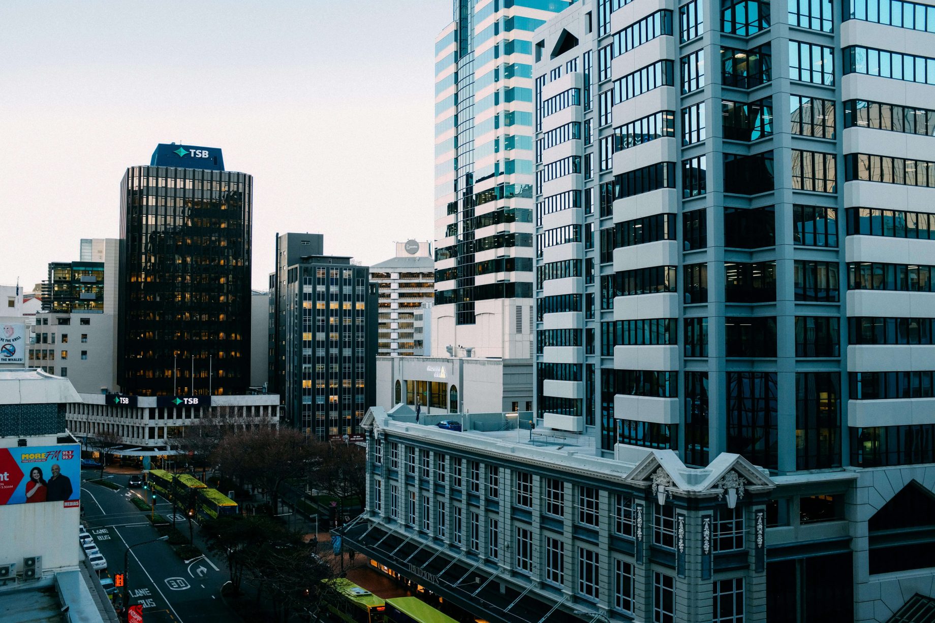 nzbusiness (1)