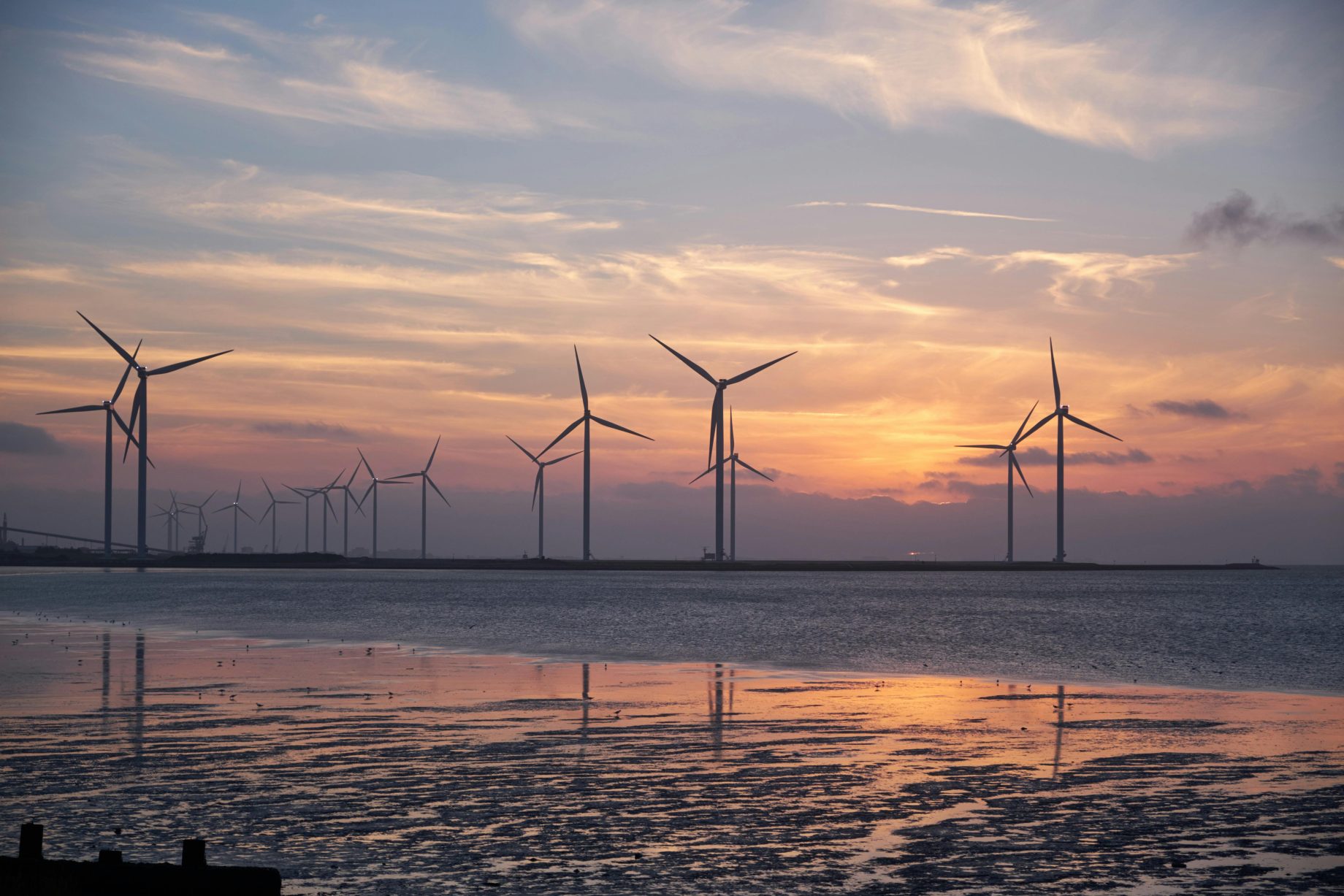 windfarm