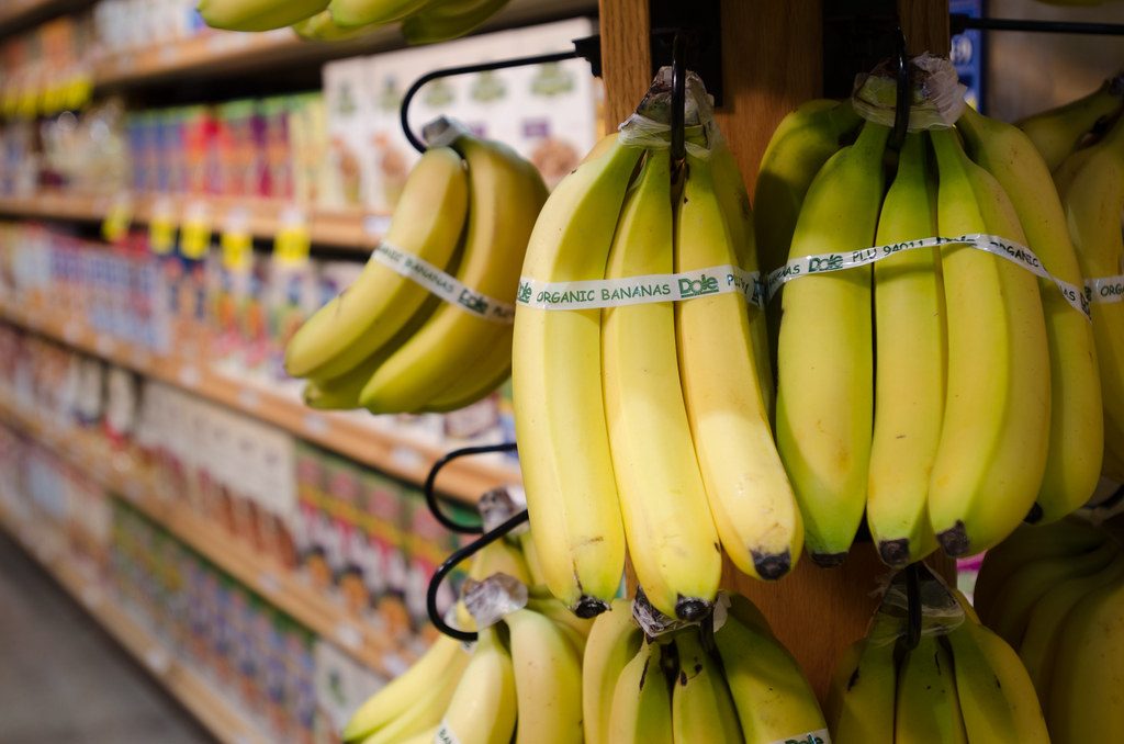 us government to cut food aid in november