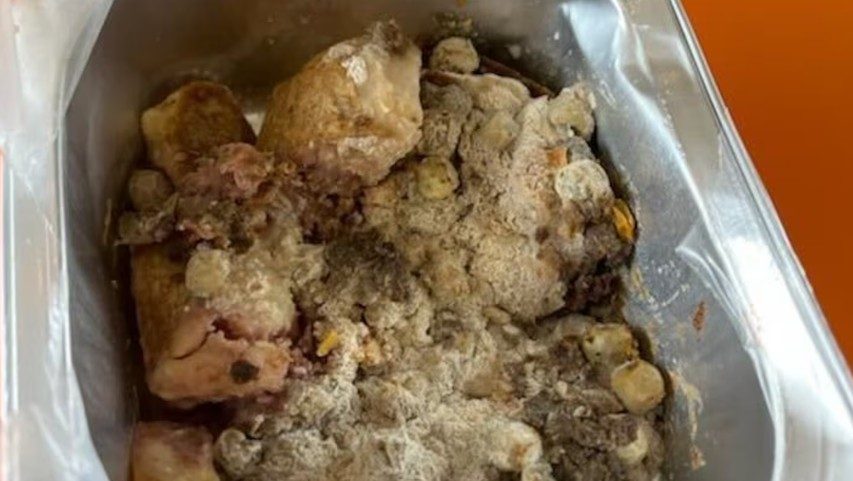 mouldy school lunch