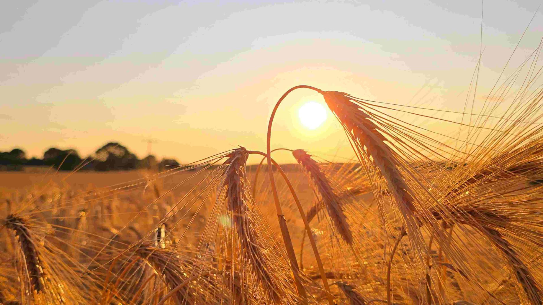 australia battles extreme heatwave on national holiday
