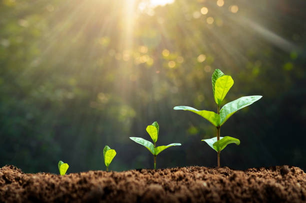 business group lays out plan for growth but not everyone convinced