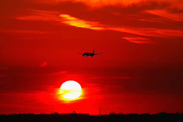 air nz drops 1,100 flights, impacts 44k