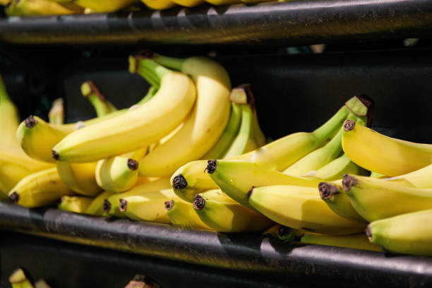 bananas on a shelf in a supermarket