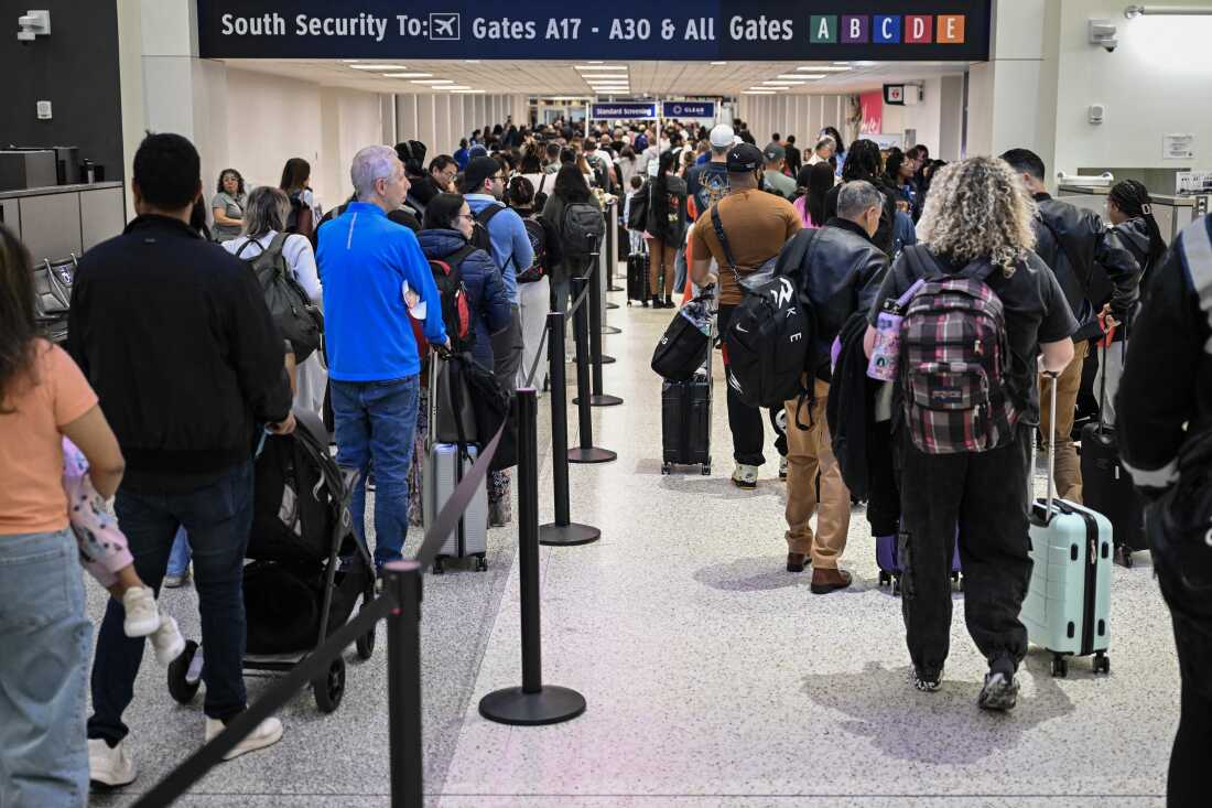 us politics shutdown tsa