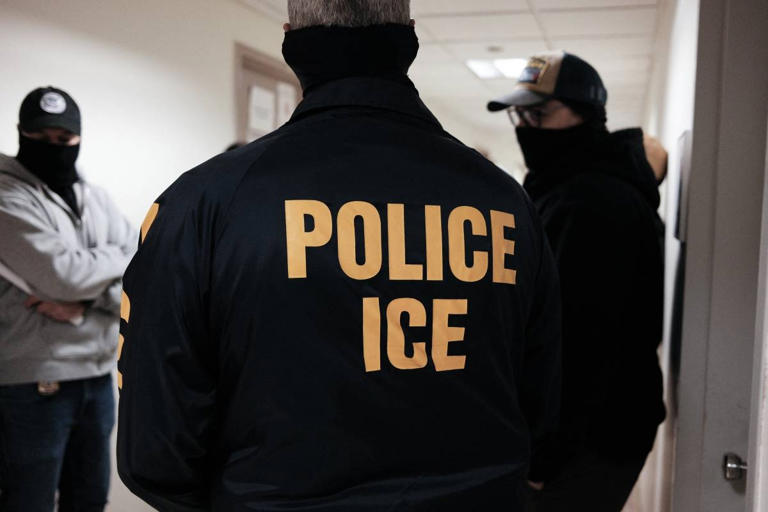 trump sends ice to airports amid tsa crisis