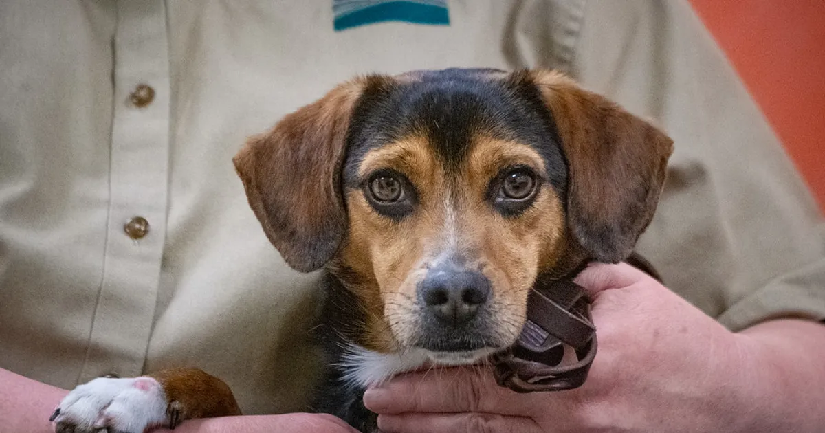 20190404-OSEC-LSC-1008