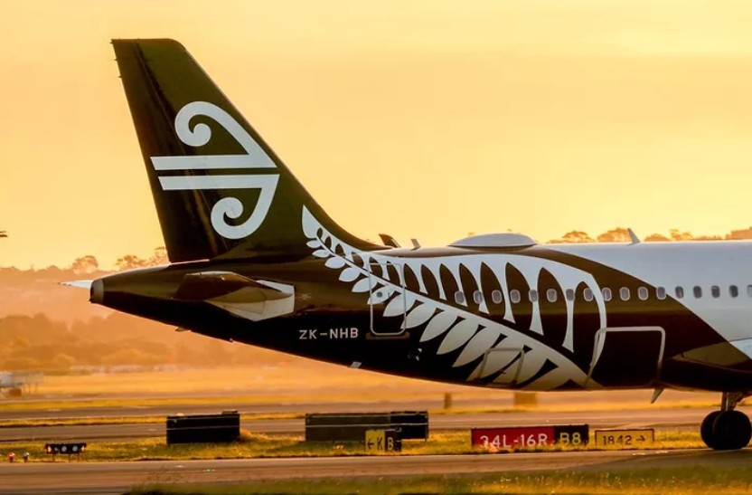 air nz cuts more flights