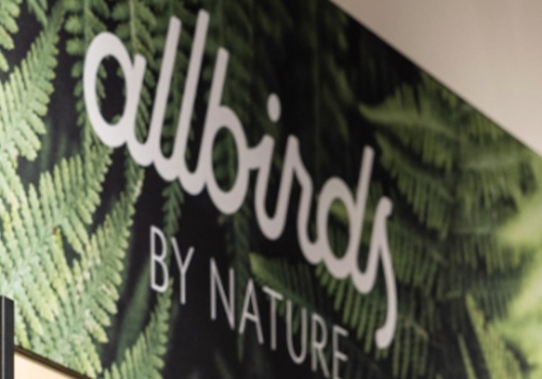 allbirds
