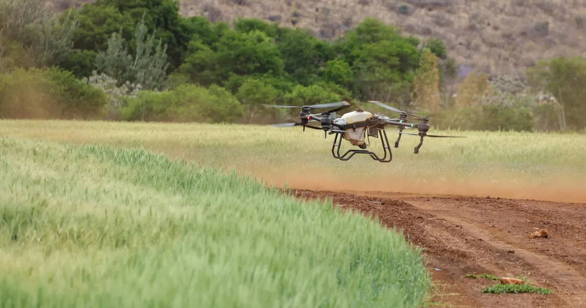 A drone flying over a vibrant green crop field, showcasing modern agricultural technology.
