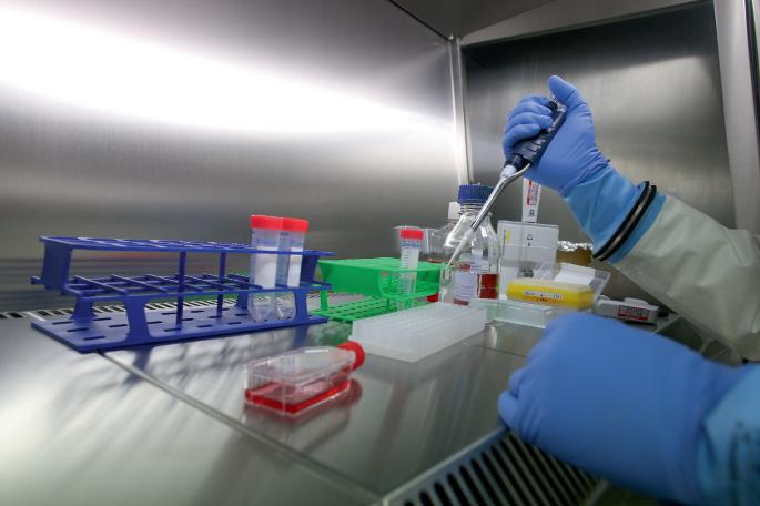 biotech firm eyes milestone with ras targeting cancer pill