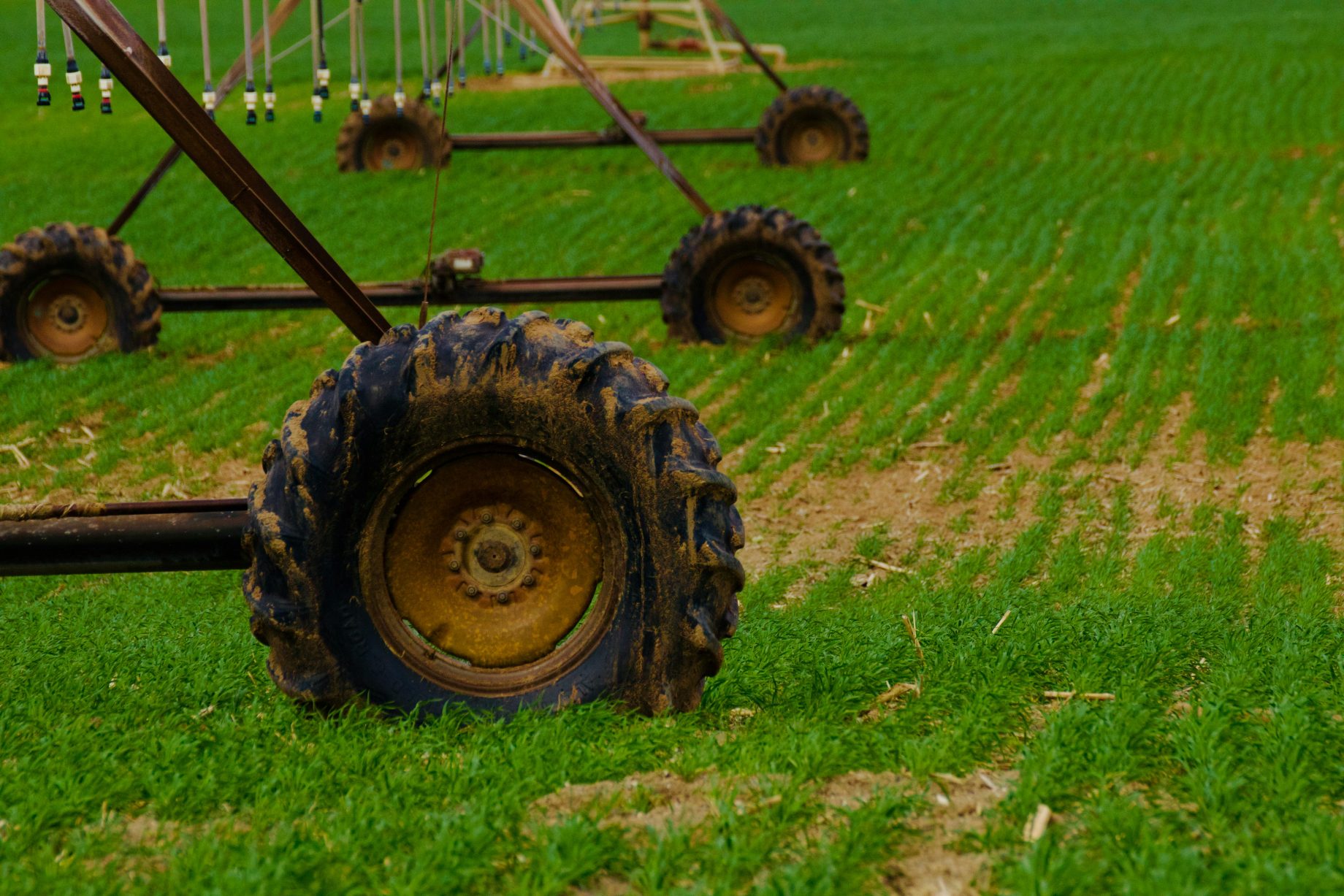 global fertiliser shock exposes nz’s dangerous dependence on foreign supply chains