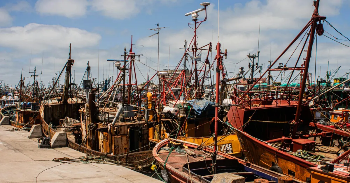 A bustling fishing harbor with moored ships under a bright sky.