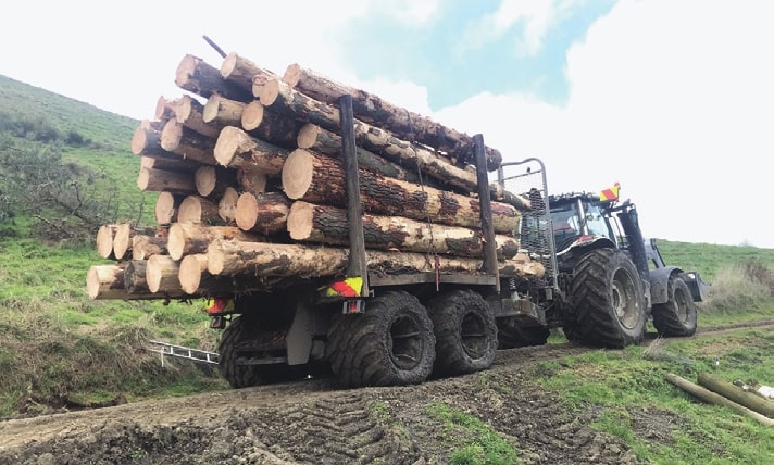 rising diesel costs leave forestry operators no choice but to cut back