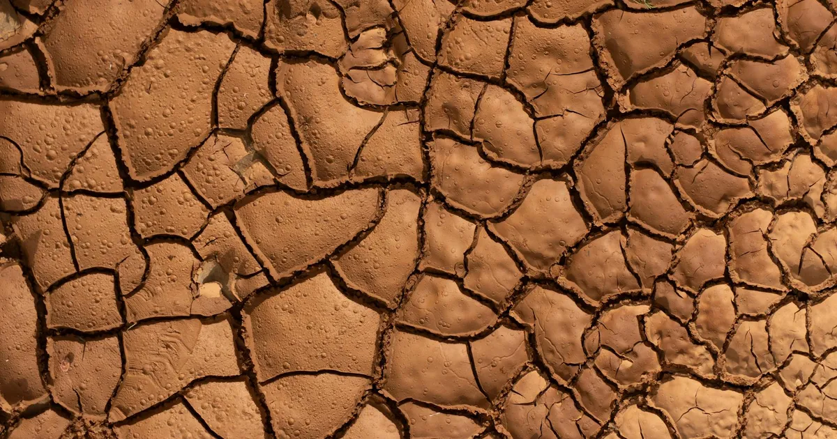 Close-up of dry, cracked earth with detailed texture and warm sunlight highlighting the patterns.