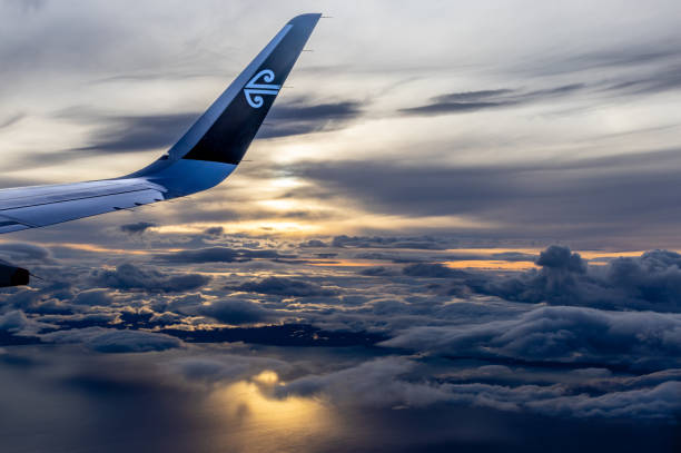 air new zealand to cut more flights as jet fuel price volatility bites