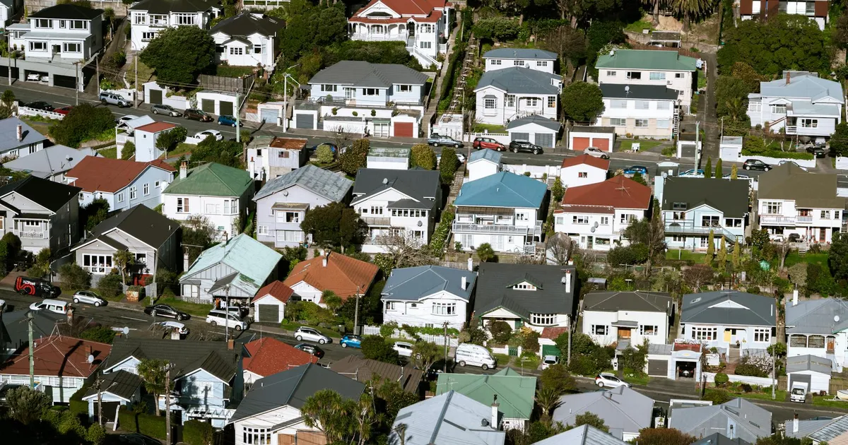 Aerial view showcasing vibrant suburban housing in Wellington, New Zealand.