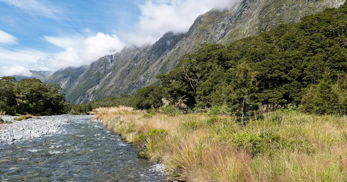 Explore the breathtaking river and mountain landscape in New Zealand's South Island.