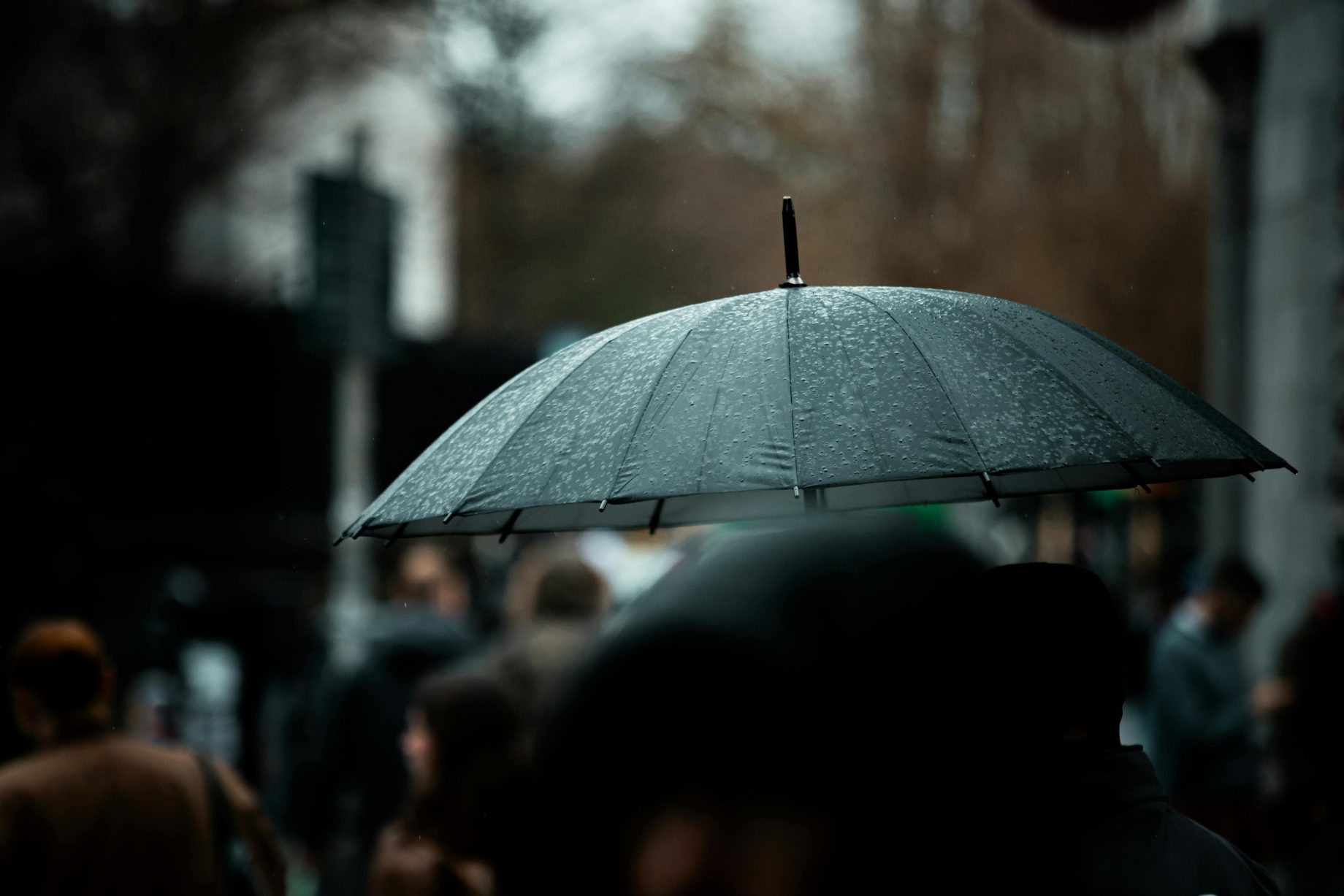 economic cost of severe weather disruptions