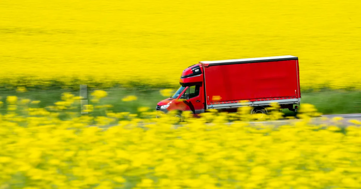 A red truck travels through vibrant yellow mustard fields, capturing rural movement and color contrast.