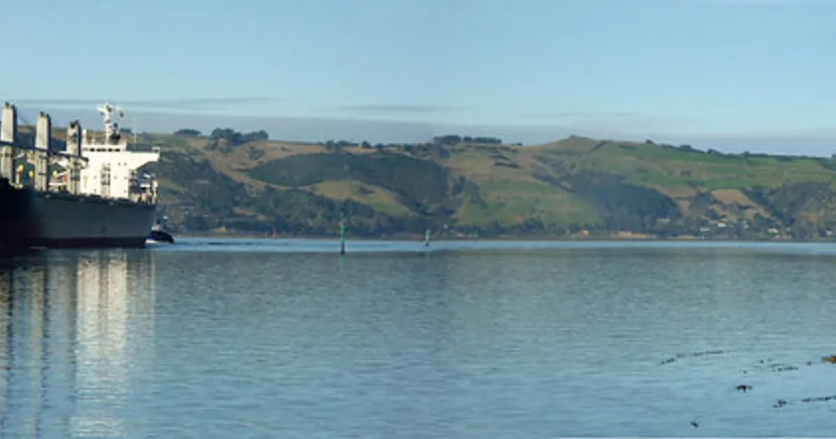 Otago Harbour