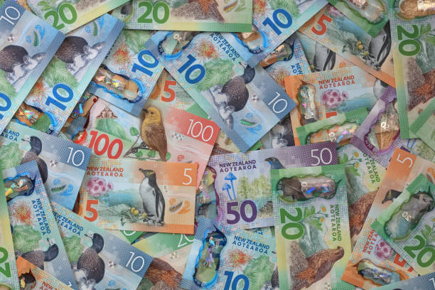 stack of different new zealand dollar banknotes