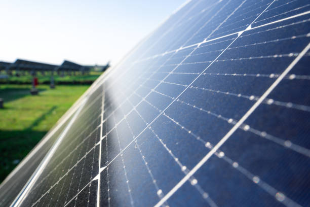 meridian energy secures approval for major solar project aimed at boosting energy supply near palmerston north