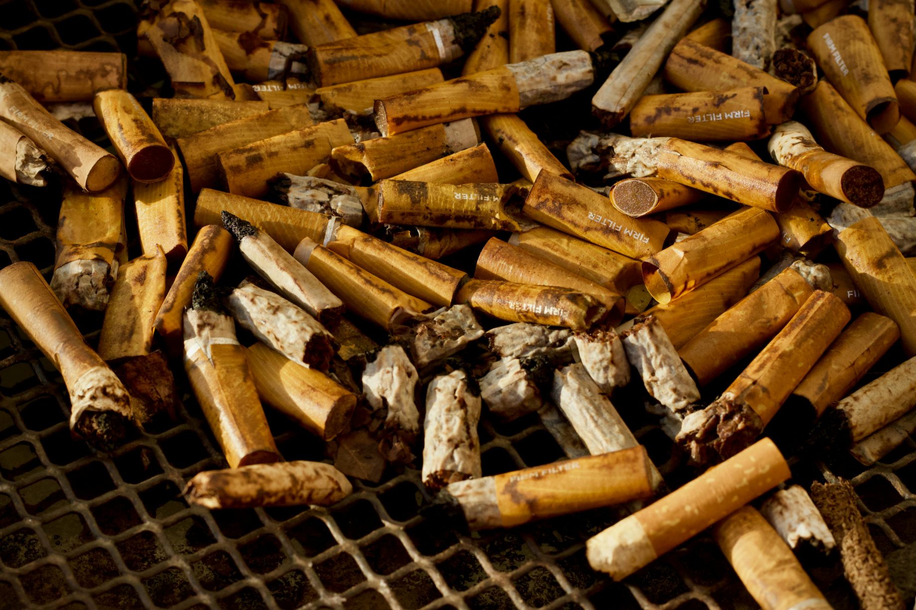 should low nicotine cigarettes make a comeback