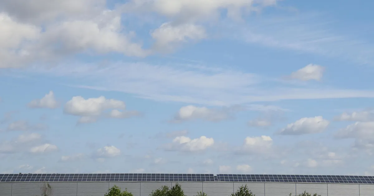 Warehouse roof adorned with solar panels beneath a bright blue sky.