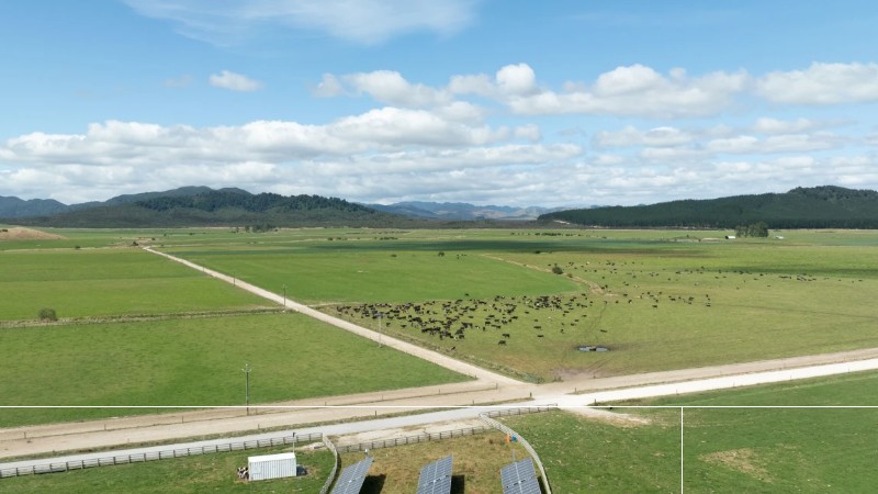 te rahui