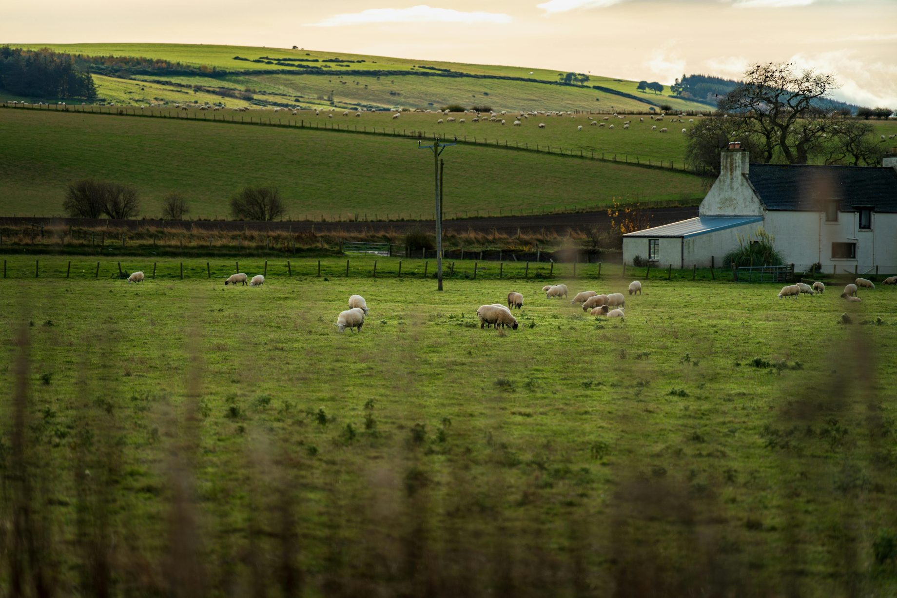 to boost uptake of methane reducing technologies