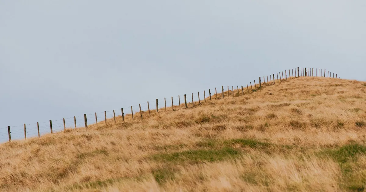 Scenic view of rolling hills and fence in rural Waikato, New Zealand.