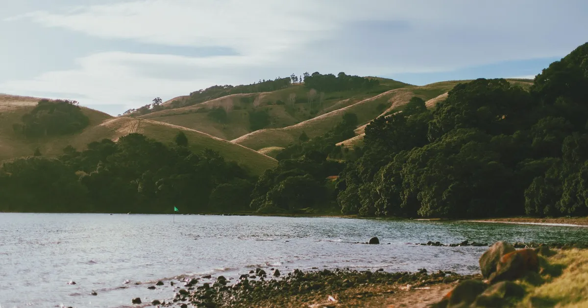 Breathtaking view of Coromandel's coast with lush hills and crystal-clear waters.