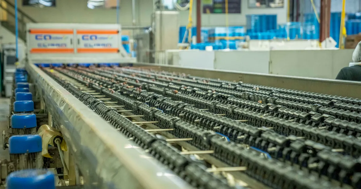 Detailed view of an industrial conveyor belt system used in manufacturing and production settings.