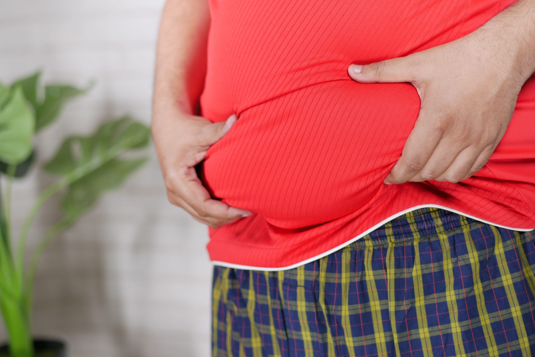 can wegovy solve new zealand’s obesity problem
