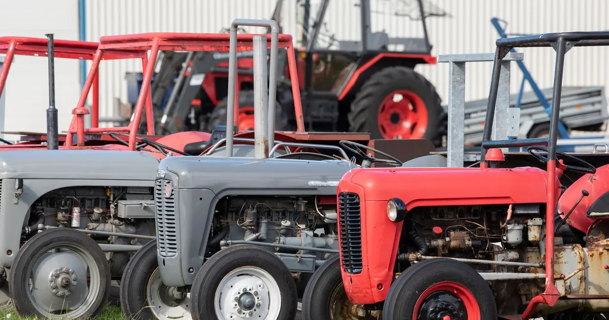 A collection of vintage tractors, including Massey Ferguson models, parked outdoors.