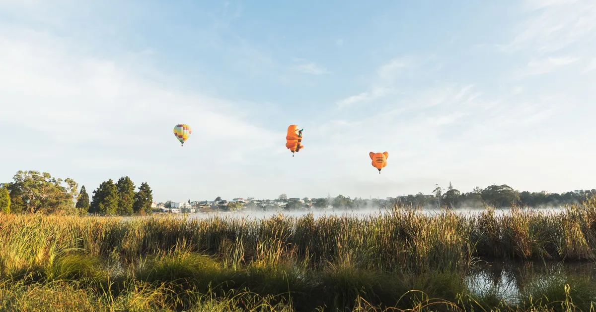 Colorful hot air balloons soaring over a misty field in Hamilton, New Zealand.