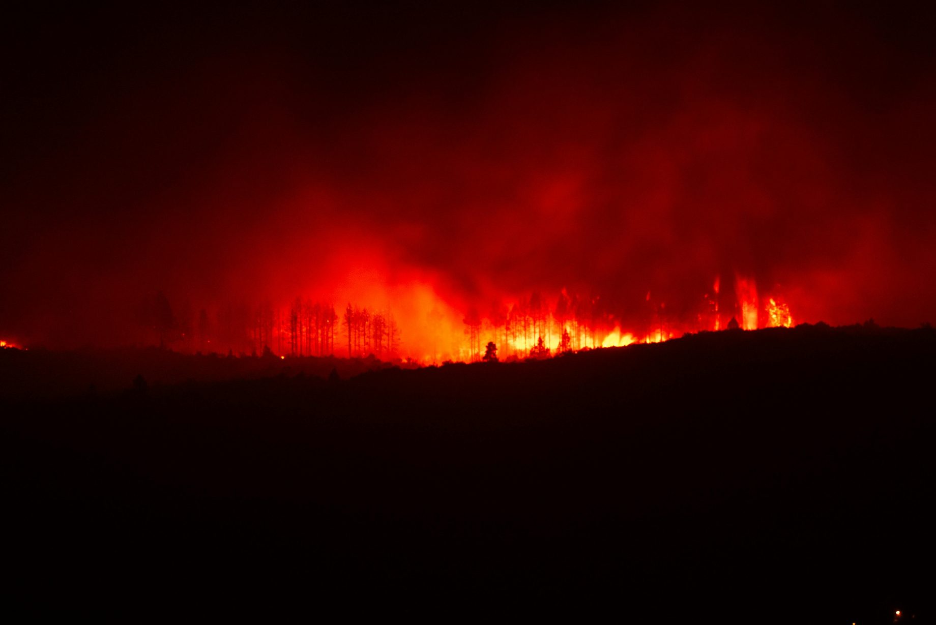 high tech sensor network aims to cut wildfire costs and protect northland forests