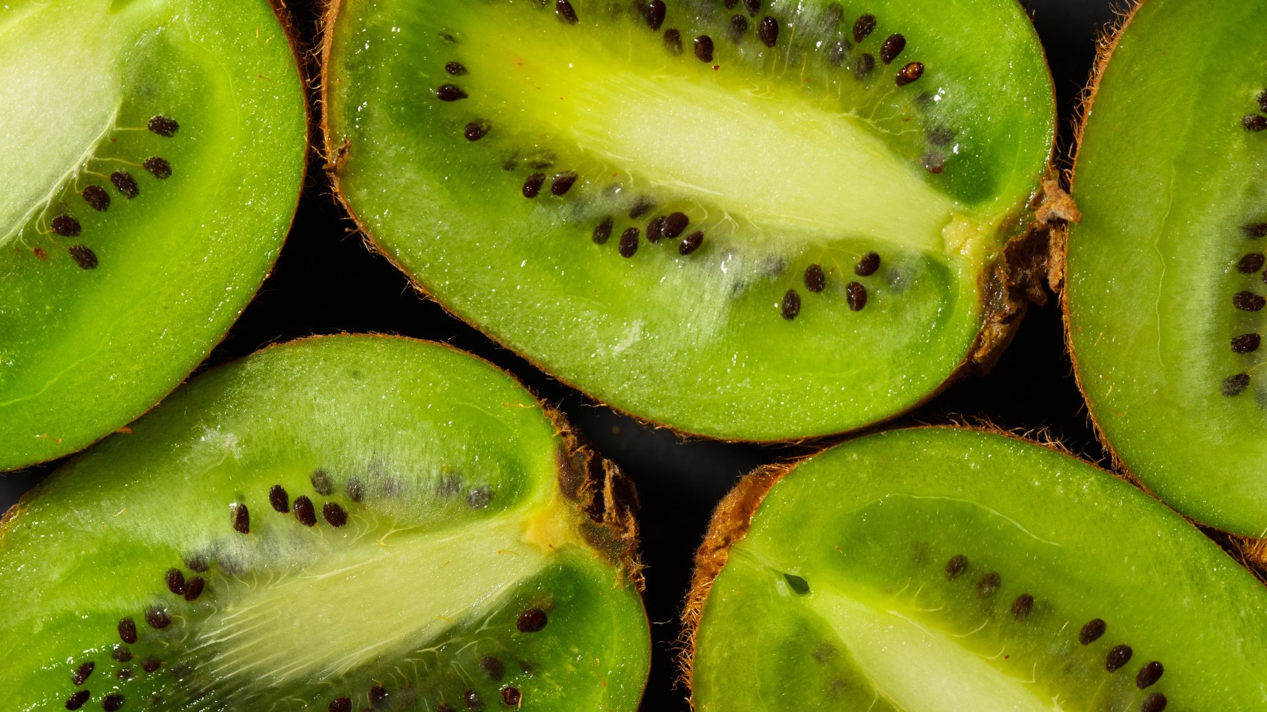 kiwifruit sector proves the power of free enterprise with bumper harvest