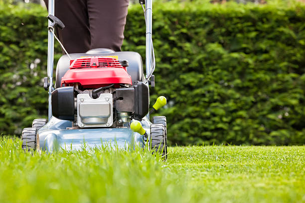 mowing the grass