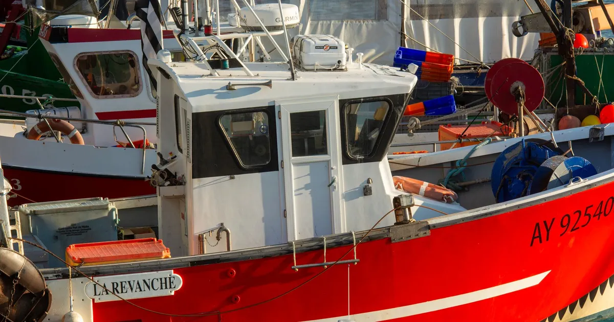 Vibrant fishing boats docked at a marina, showcasing nautical equipment and maritime charm.