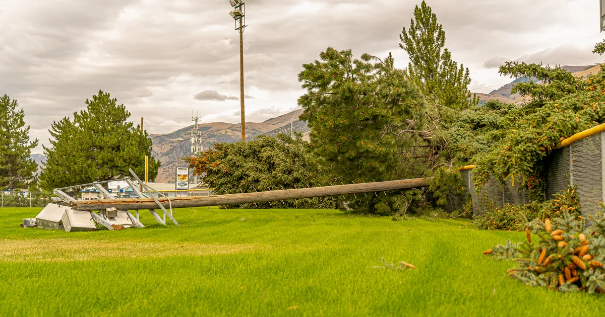 Fallen trees and electric poles after a storm in Hyrum, Utah field.