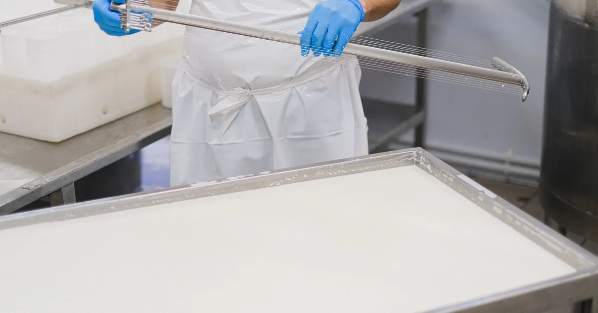 A worker using a cheesemaking tool in a factory setting, wearing protective clothing.