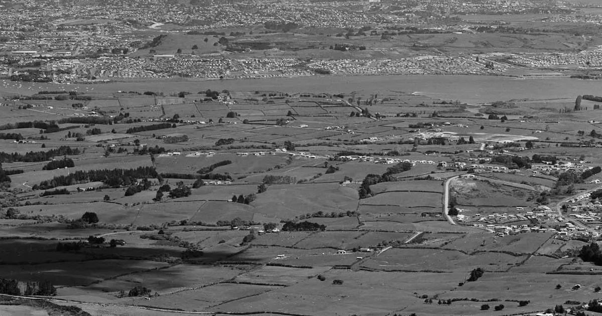 Botany Downs, Auckland Region (1959)
