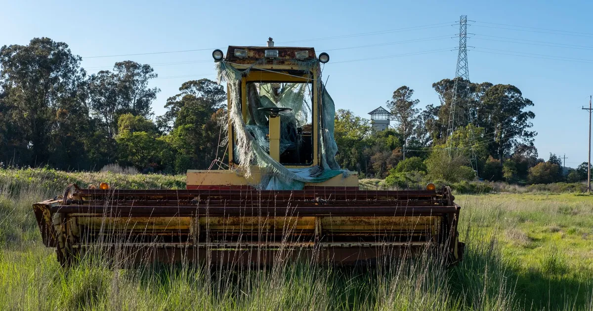 An abandoned bulldozer sits in a grassy field under a clear sky, surrounded by trees.