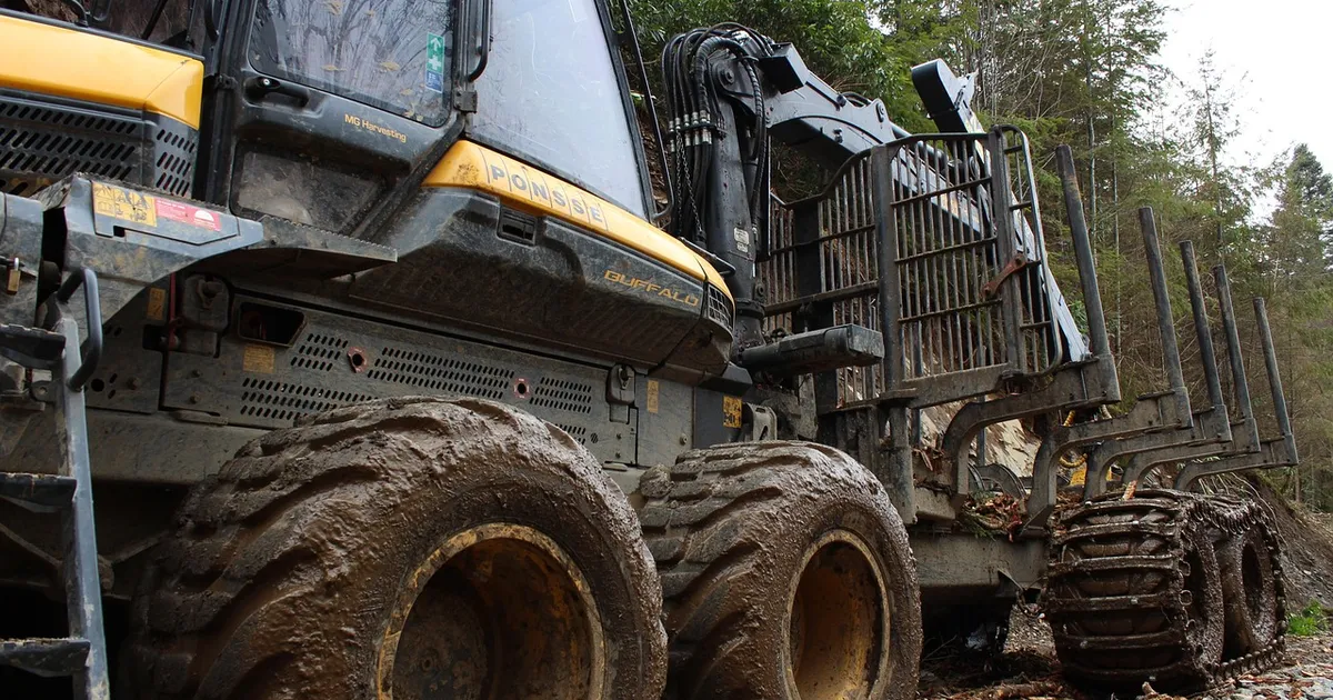timber harvester, forestry machinery, logging machine